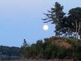 Moon-Maine Coast-1